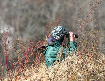 Naturalists in Action