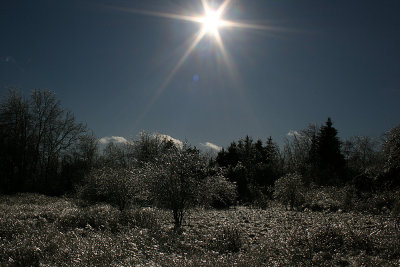 Sun and Ice 2