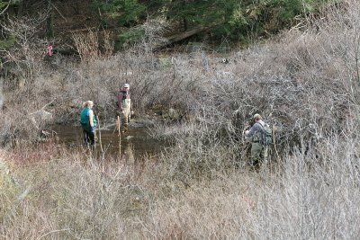 Vernal pool survey