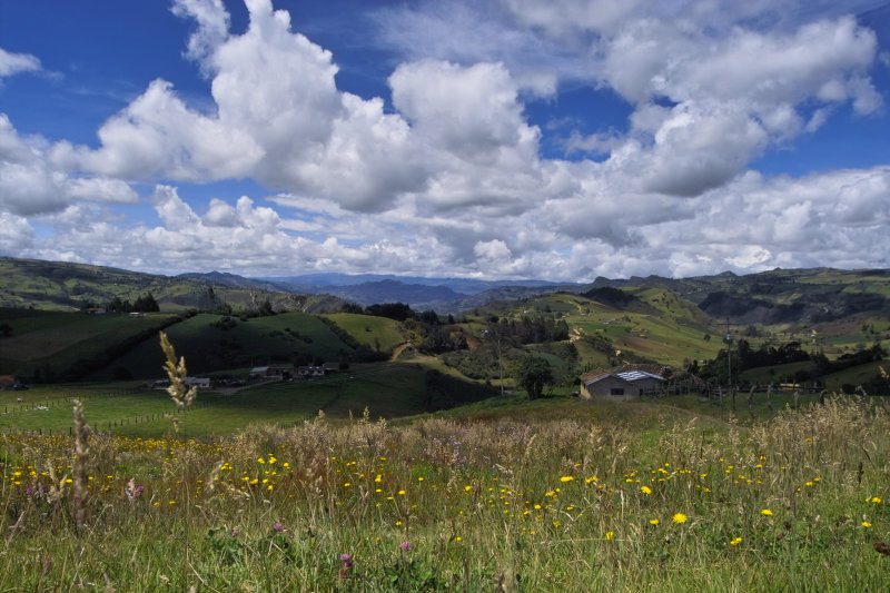 colombian rural i