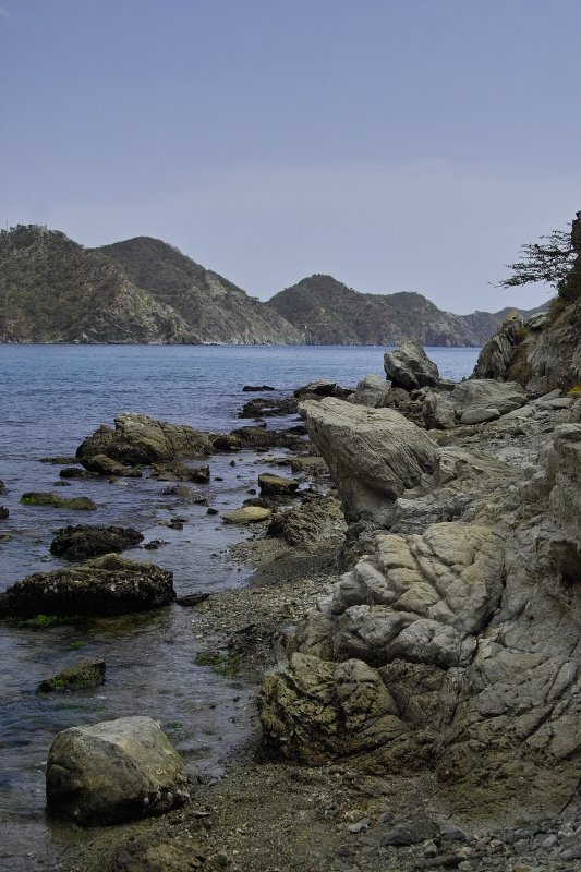 taganga xi
