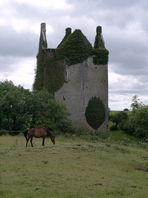 Castle near Quin