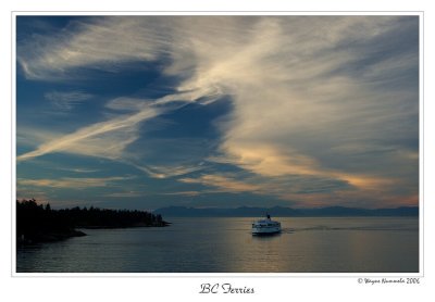n20060827_059b_f_std.jpg