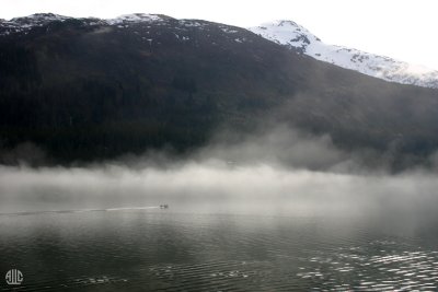 Morining mist near Juneau