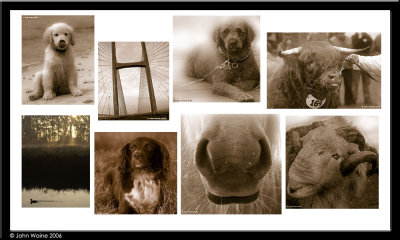 2006 - A Year in Sepia