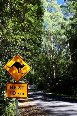 Roos On The Road