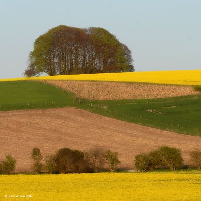 Spring Downland