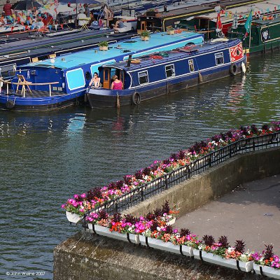 Boats And Flowers