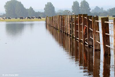 Port Meadow - 2007 Summer Floods 3