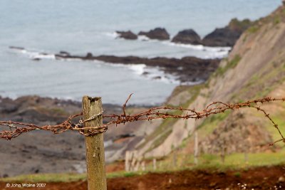 Coastal Fence