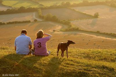 Dog Walk Break