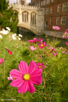 Bridge of Sighs