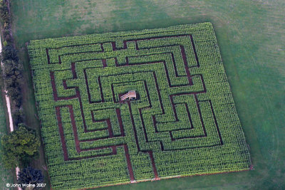 Maize Maze