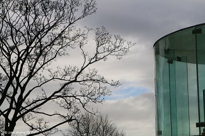 Winter Skyline