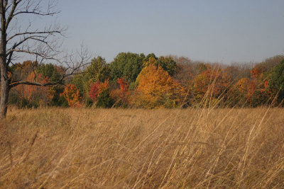 IMG_300015.jpg