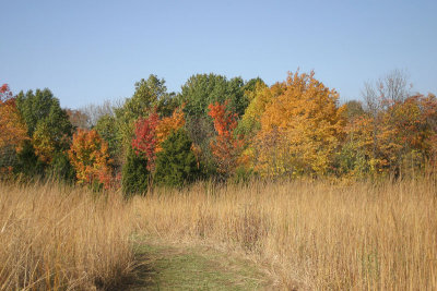 IMG_300417.jpg