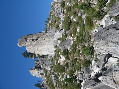 IMG_0594.jpg