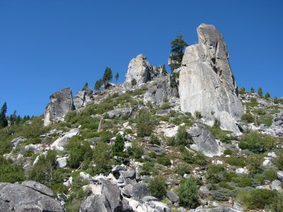 IMG_0595.jpg