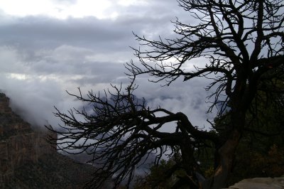 PICT0132.JPG
