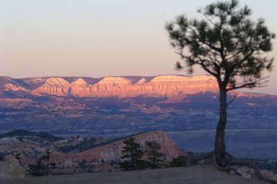 PICT0397.JPG