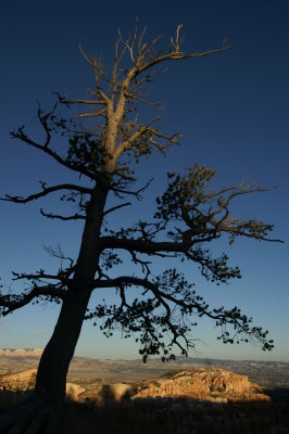 PICT0320.JPG