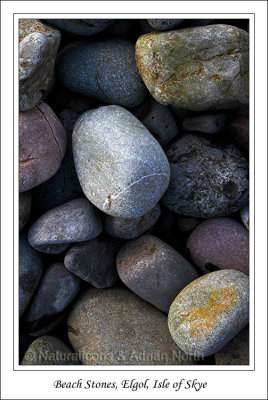 Beachcombing