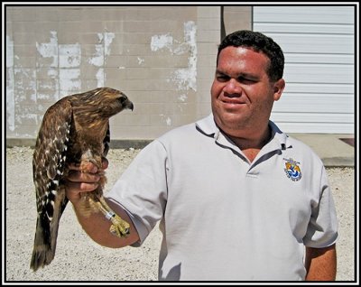 Keith holding Red Shouldered Hawk