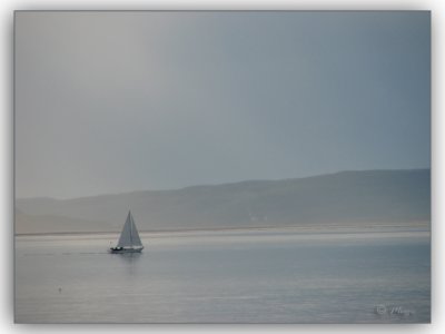 g6/94/555694/3/83726679.8o3GBltg.jpg