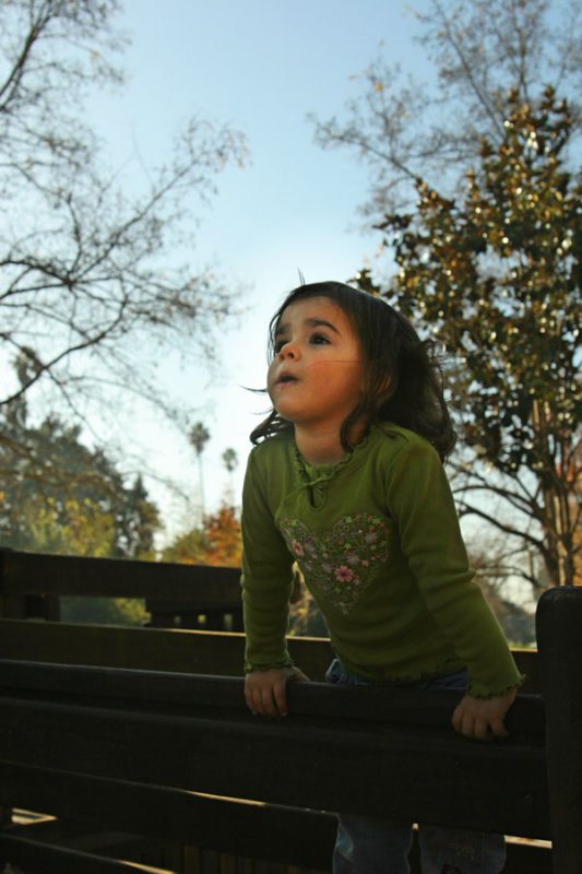 IMG_5837_web.jpg