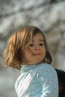IMG_6331_web.jpg