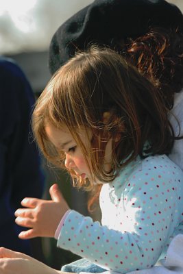 IMG_6334_web.jpg