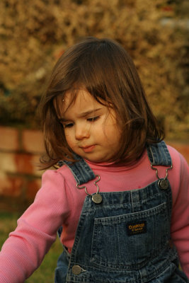 IMG_6463_web.jpg