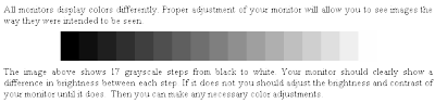 grayscale_info.png