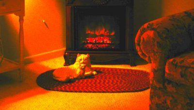 g6/94/575794/3/74755554.j9Y2mqDn.jpg