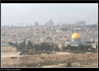 PC-IMG_1222.JPG