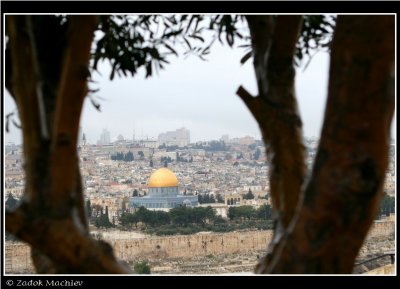 PC-IMG_1243.JPG