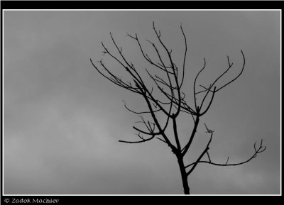 PC-IMG_1247.JPG