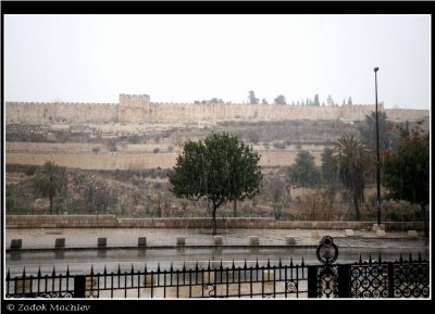 PC-IMG_1309.JPG