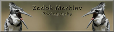 original.jpg