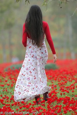 PC-IMG_3984.jpg