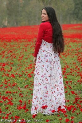 PC-IMG_3999.jpg