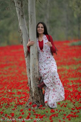 PC-IMG_4017.jpg