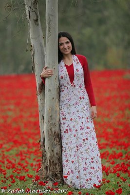 PC-IMG_4021.jpg