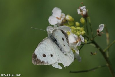 PC-IMG_4157.jpg