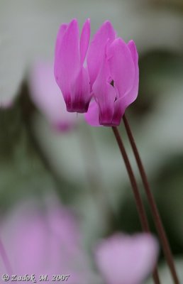 PC-IMG_4220.jpg