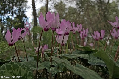 PC-IMG_4225.jpg