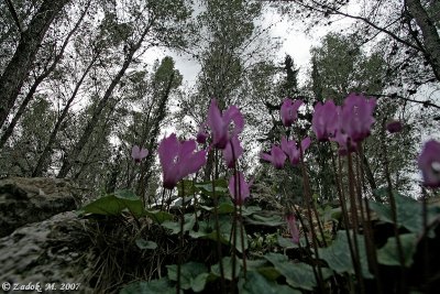 PC-IMG_4228.jpg