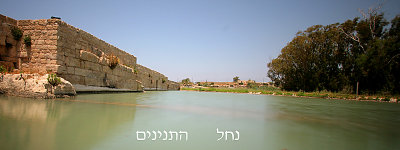 IMG_2434 .jpg
