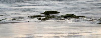 IMG_9031.jpg