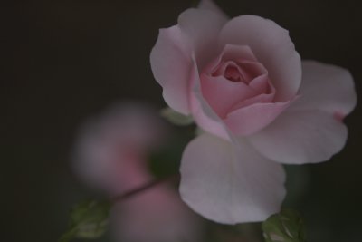 _MG_404120061001.jpg